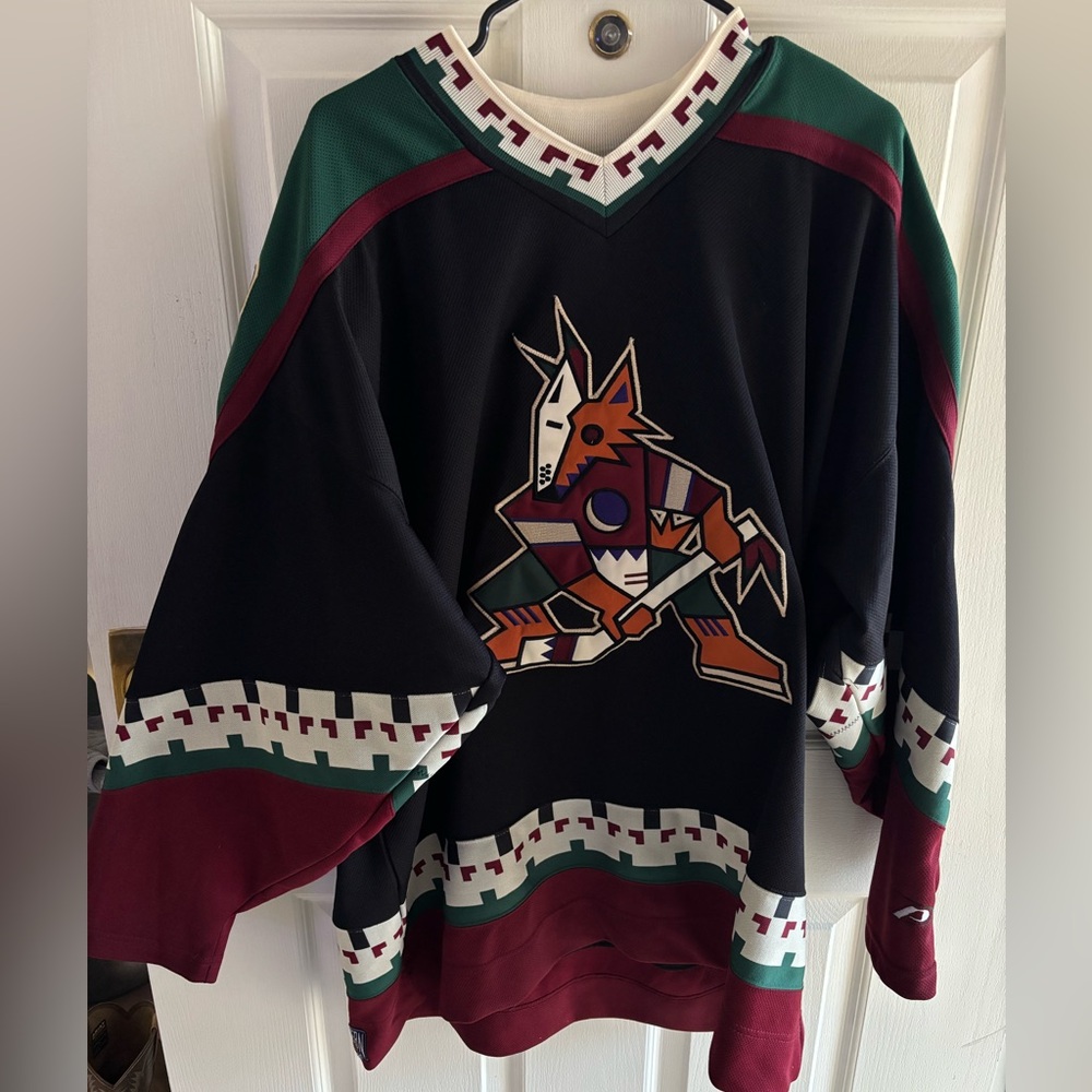 Pro Player Maroon and Teal Hockey Jersey